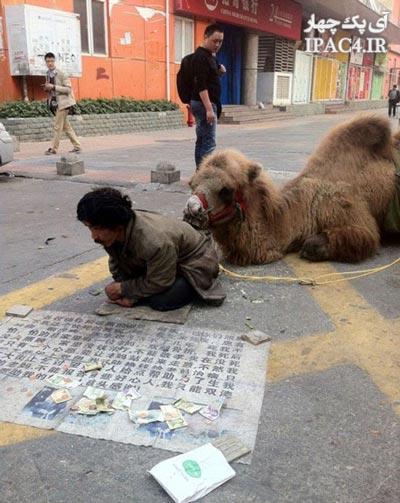 New-version-of-begging-in-China-Photo-irannaz-com